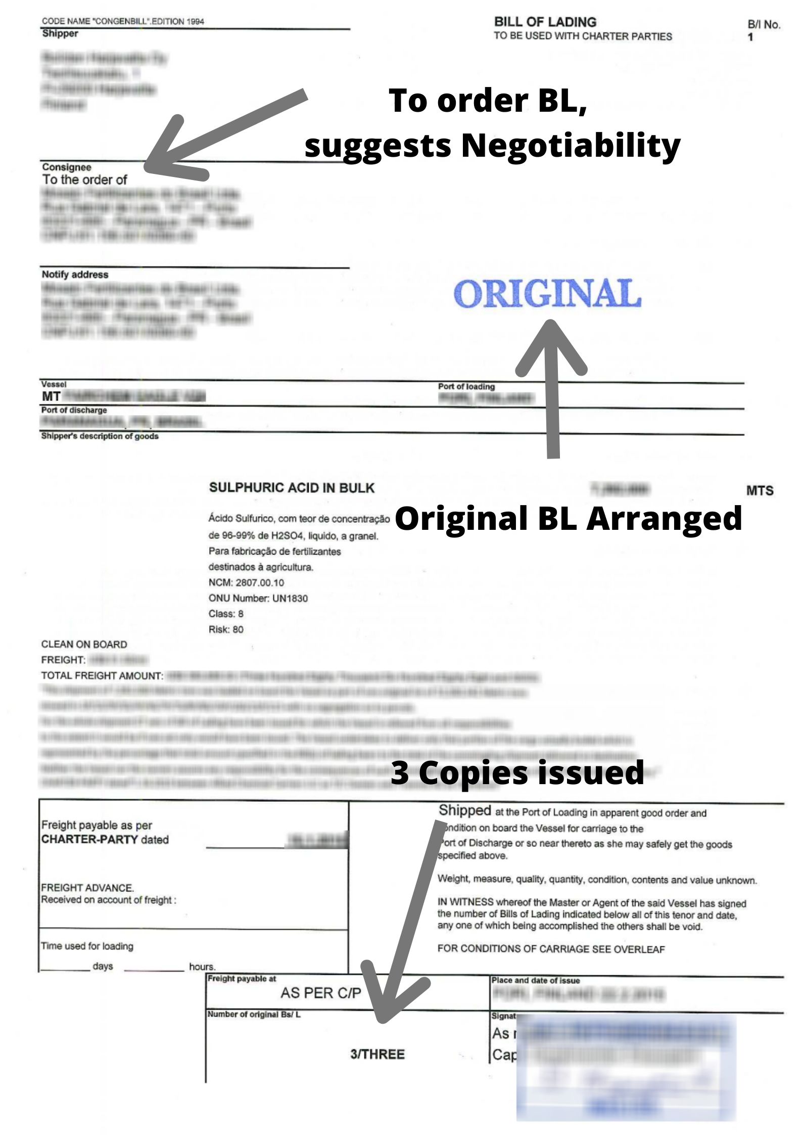 How to Read a Bill of Lading? (Properly) Global Logistics Know How